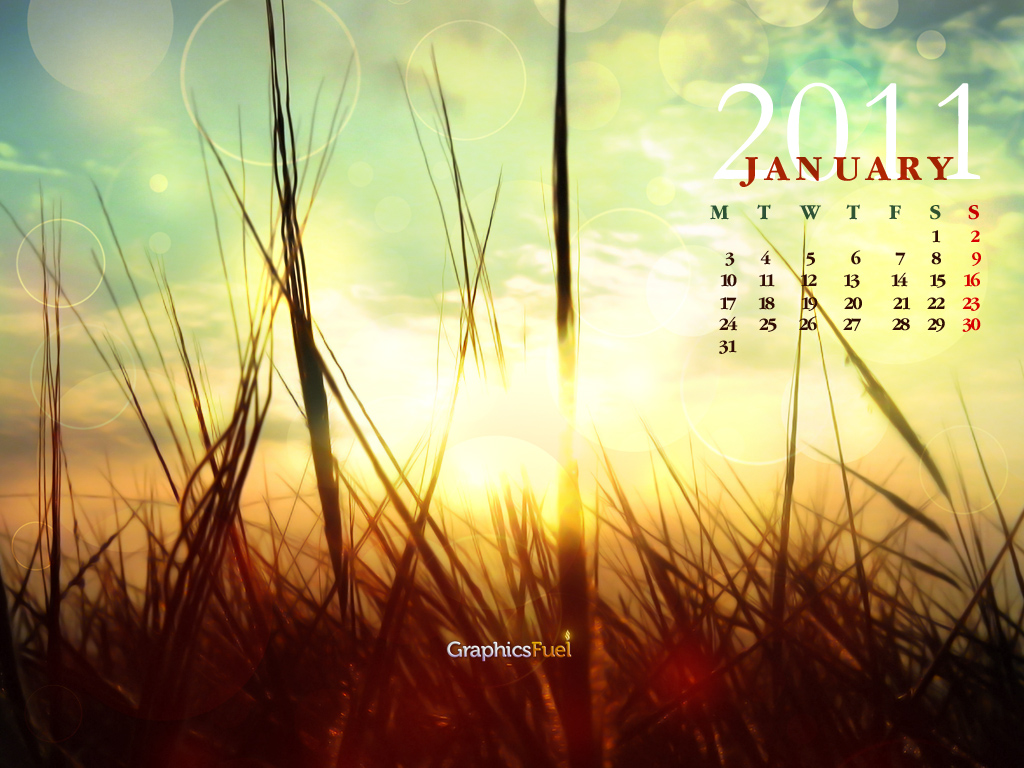 Wallpaper calendar: January 2011 - GraphicsFuel