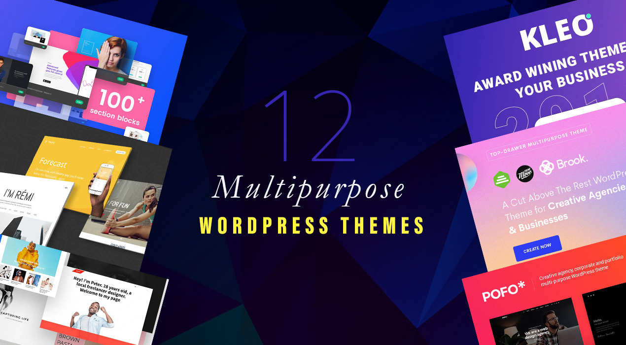 Multipurpose Wordpress Themes