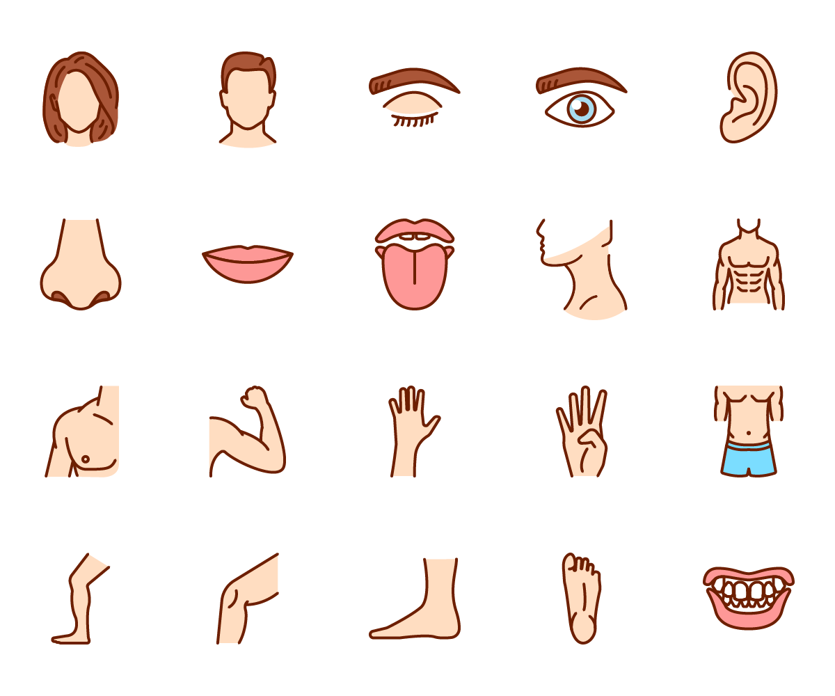 Download Human Body Parts Line And Colour Icons - GraphicsFuel