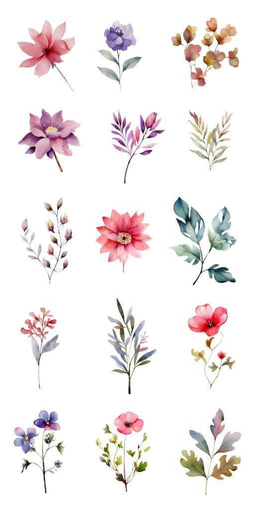 Watercolor Floral Elements - Graphicsfuel