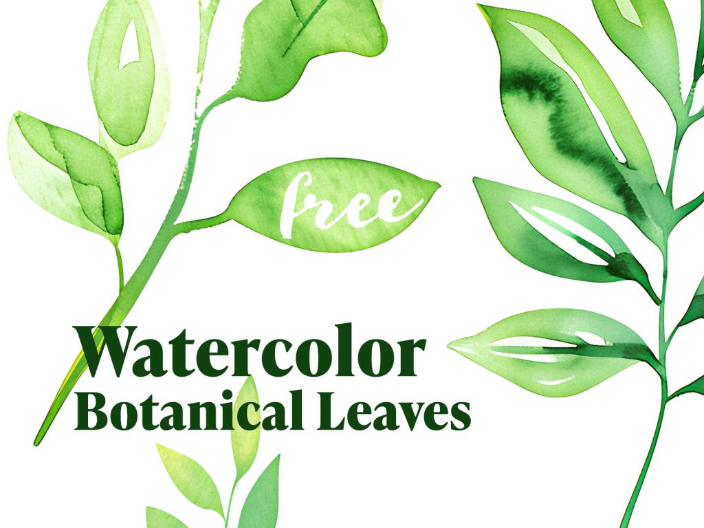 Watercolor Botanical Leaves PNG Clipart