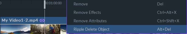 ripple delete object