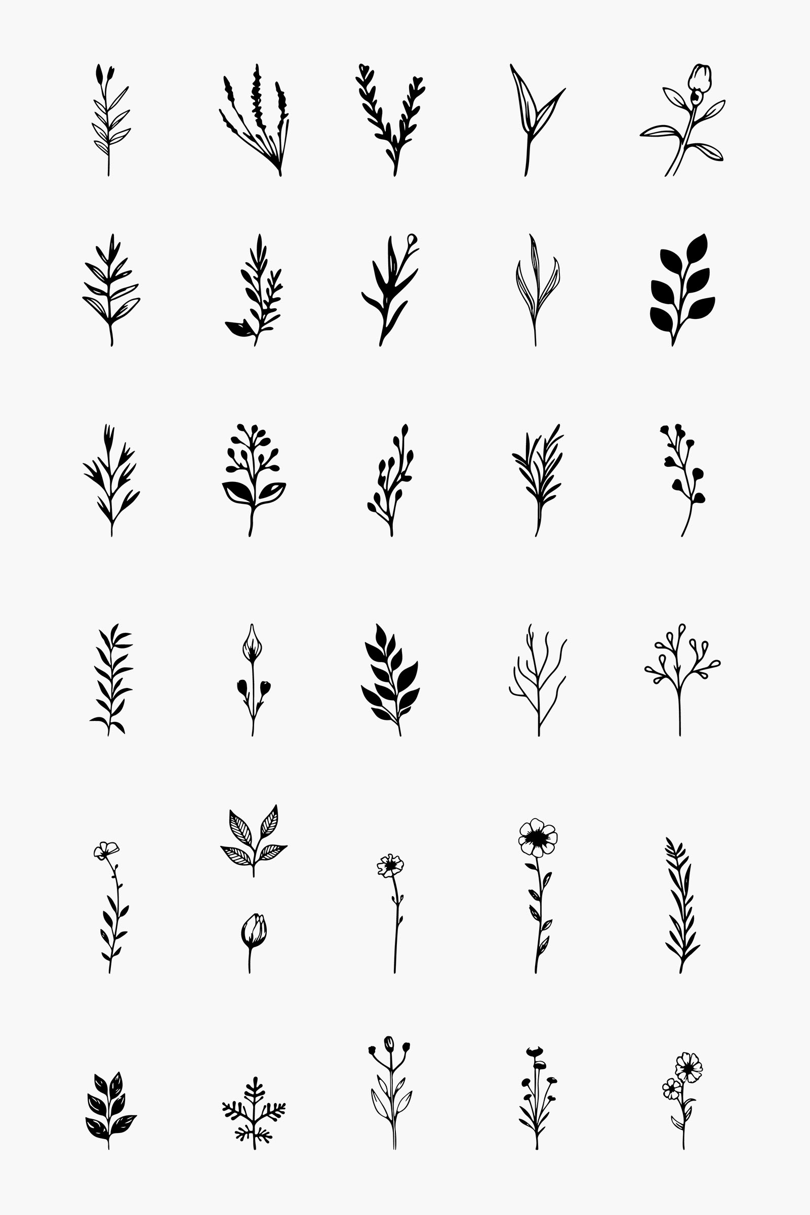 Vector botanical elements