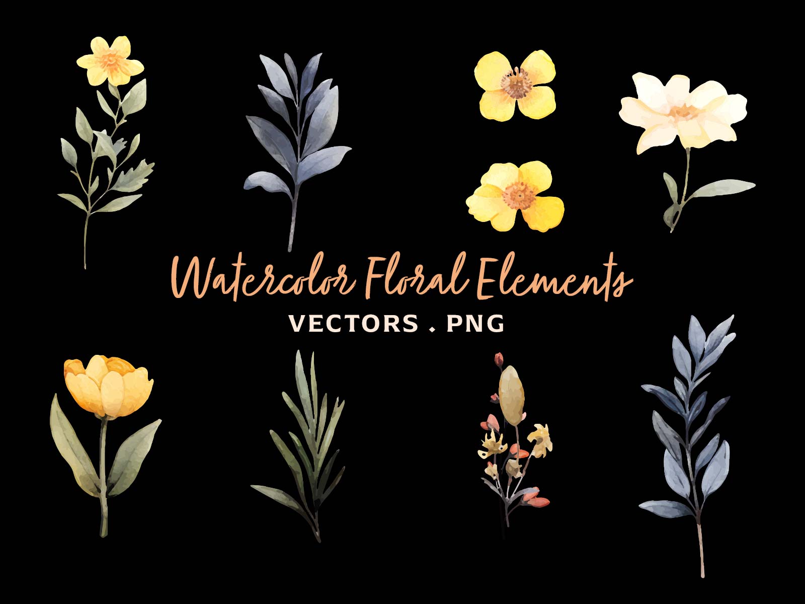 Vector Watercolor Floral Elements