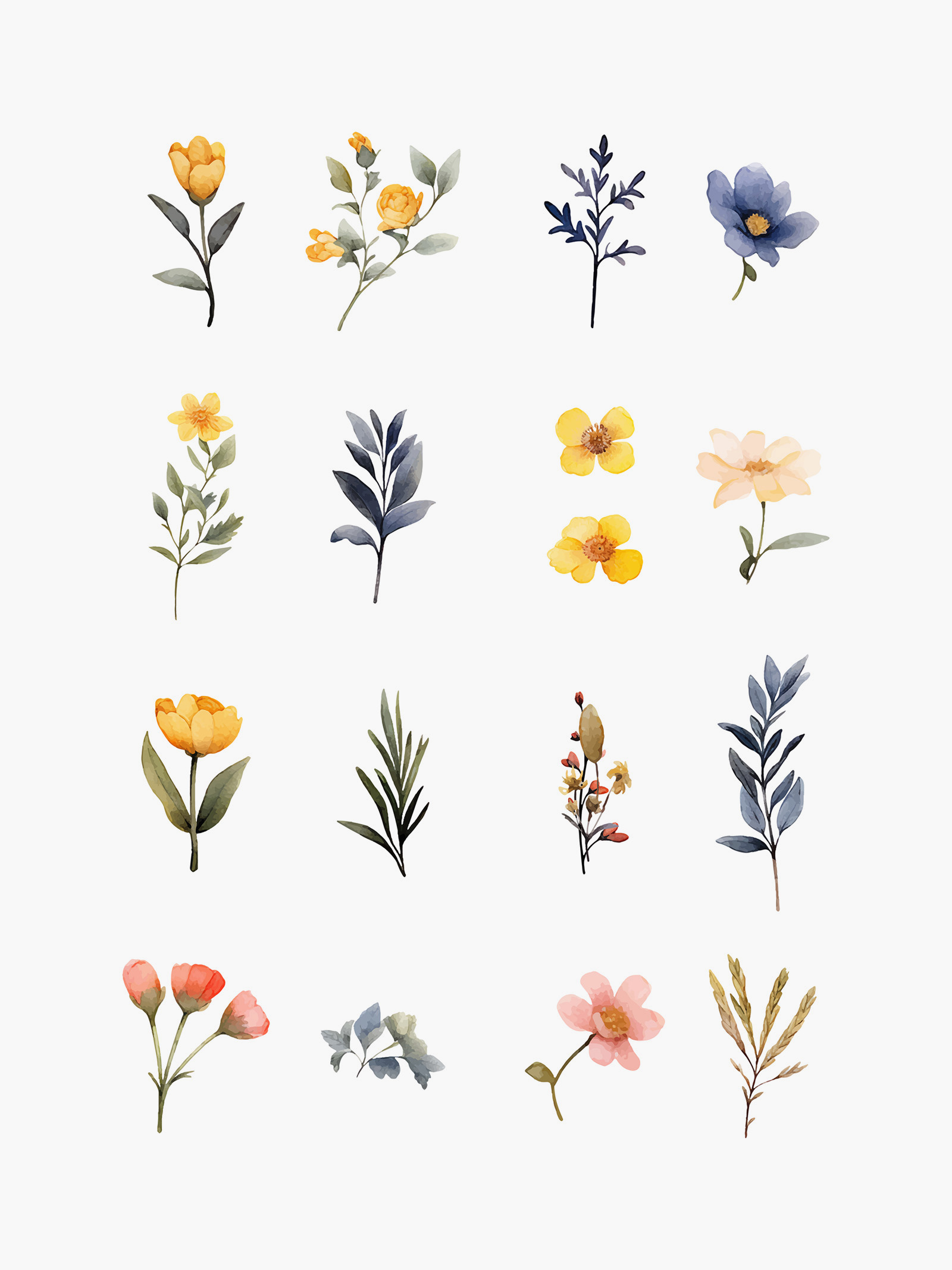 Watercolor Floral Elements