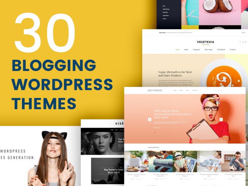 30 Blogging Wordpress Themes