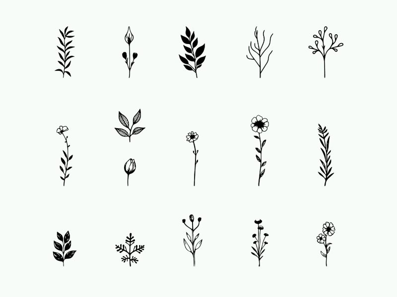 Free vector botanical elements