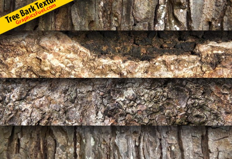 tree-bark-texture