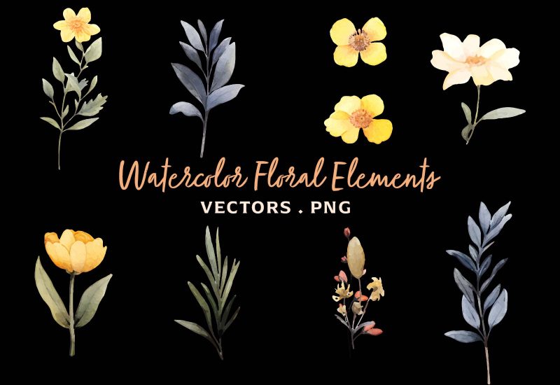 Vector Watercolor Floral Elements