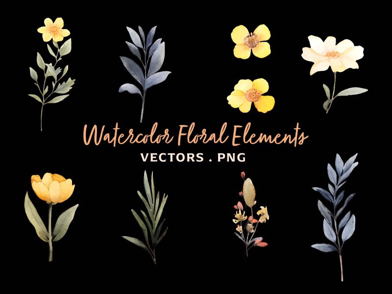 Vector Watercolor Floral Elements